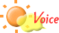voice
